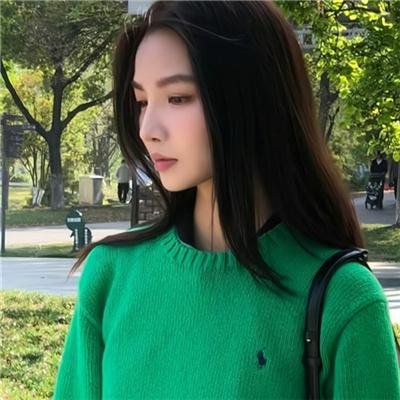 翱翔于天际的夜鹰